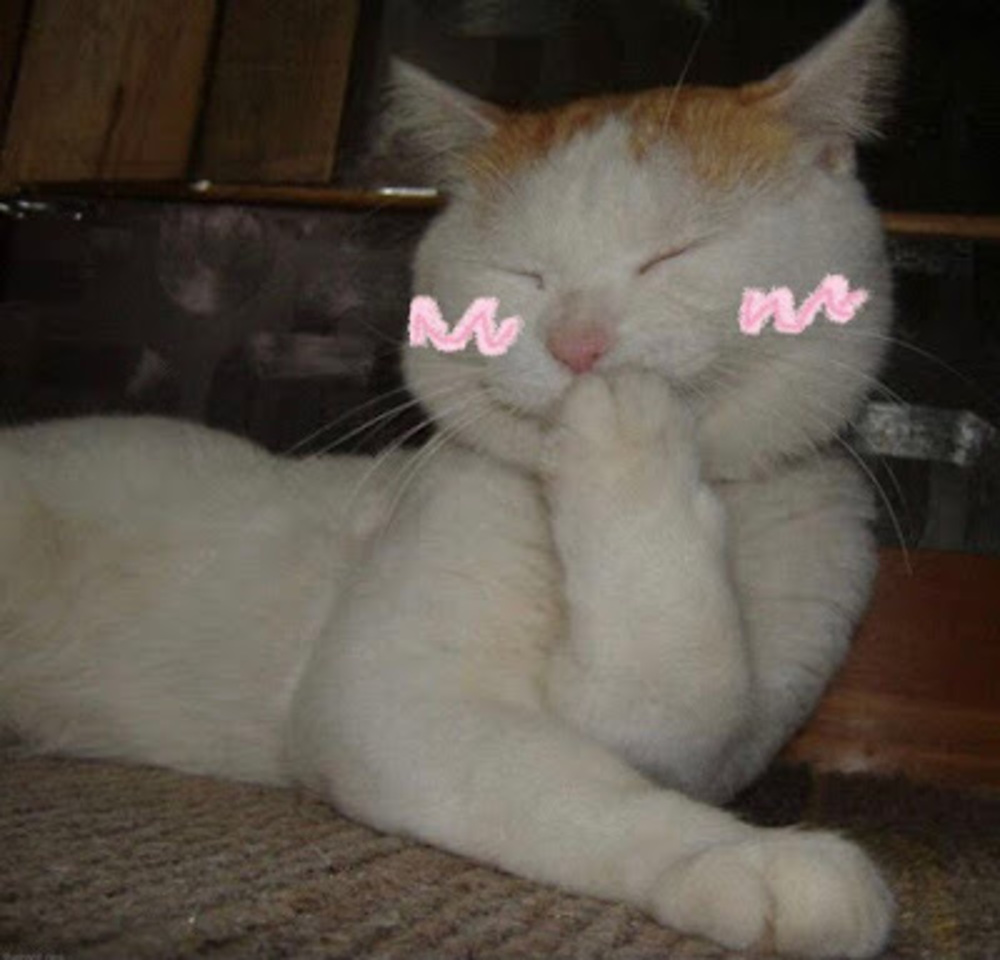 Meet your Posher, Net